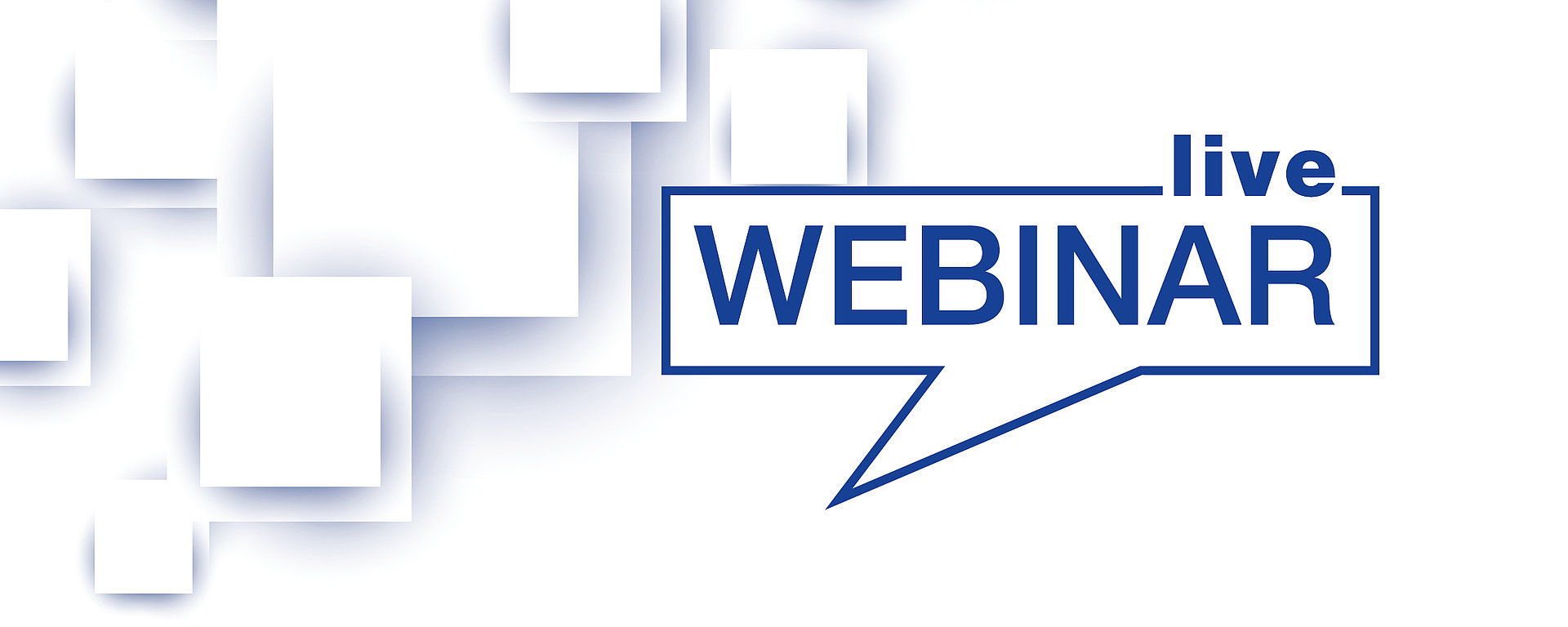 Lithofin Digital - Live-Webinar